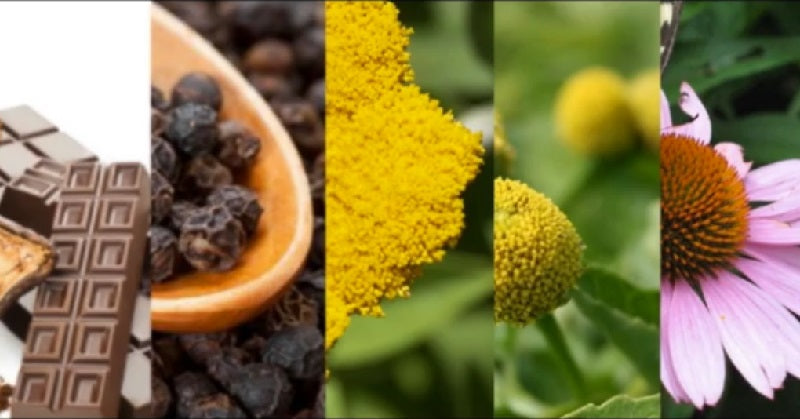 Cannabimimetic Plants: Many plants and super foods are cannabimimetic, meaning that they have properties that mimic cannabinoids in our bodies.