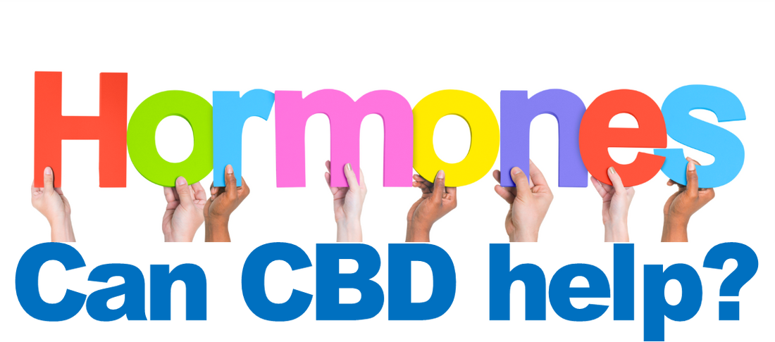 Hormones: Understanding hormones and how CBD can help bring balance back to your body