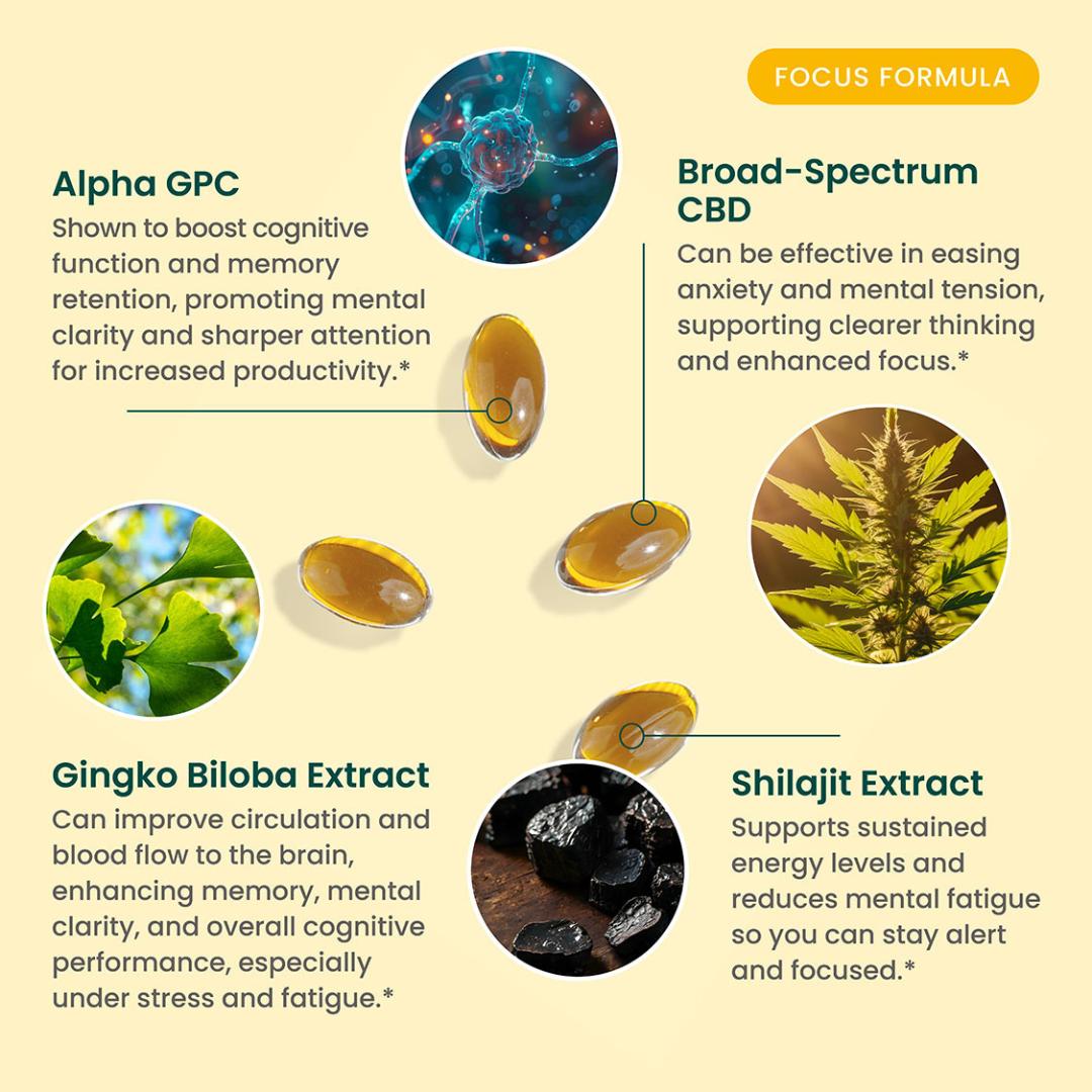 R&R Focus Softgels