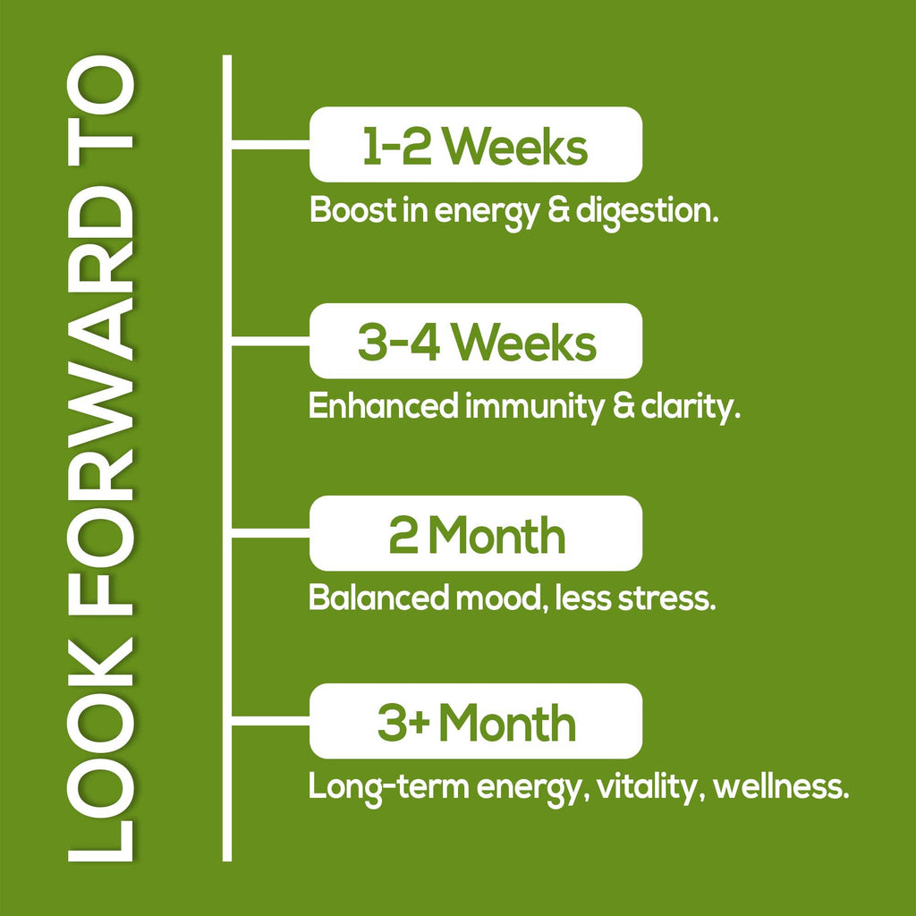 Moringa Capsules - Organic Superfood for Sleep, Joint & Energy Support