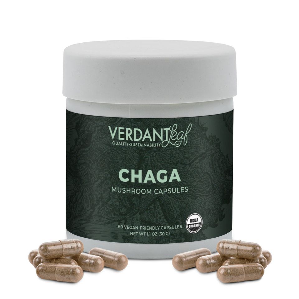 Verdant Leaf - Chaga