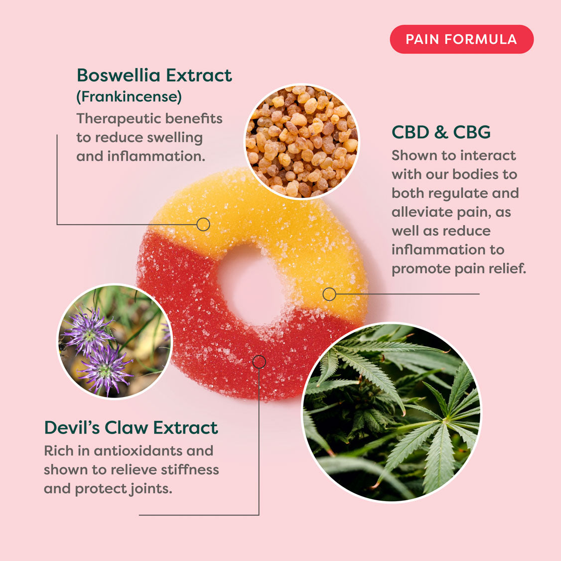 Infographic detailing therapeutic benefits of Boswellia Extract, CBD & CBG, and Devil's Claw Extract on a pink background.