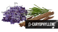 BCP Add-In - Beta-Caryophyllene Tincture Booster